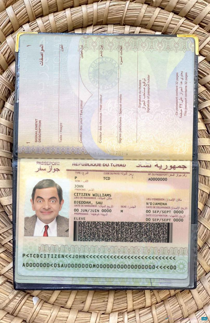 Download Chad passport photo look Photoshop template